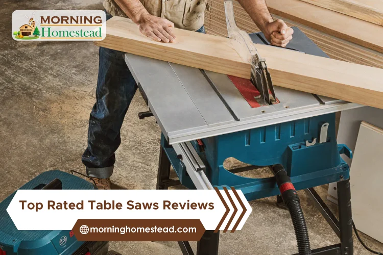 Top-Rated Table Saws: 2023 Reviews And Guide