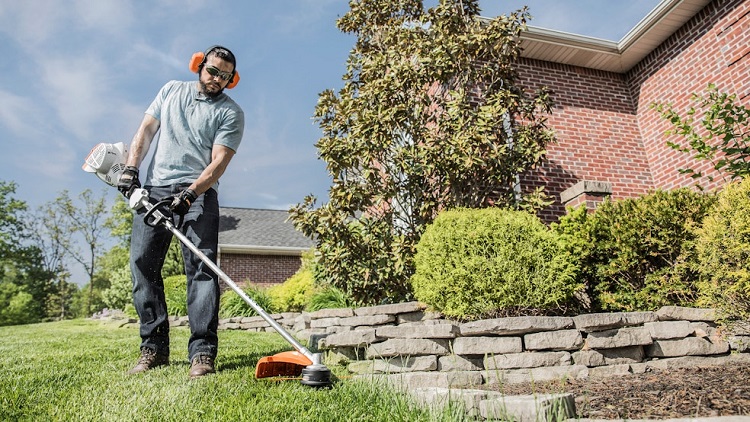 Revitalize Your Lawn with Denver Lawn Care Services from Senske