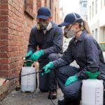 Professional Pest Control